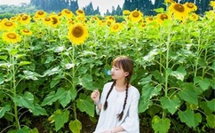 杨倩回应被炒CP 网友:人间清醒